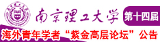 高潮网址南京理工大学第十四届海外青年学者紫金论坛诚邀海内外英才！